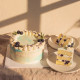 Sugar-Free Blueberries & Cream Cake (Gluten-Free, Keto)
